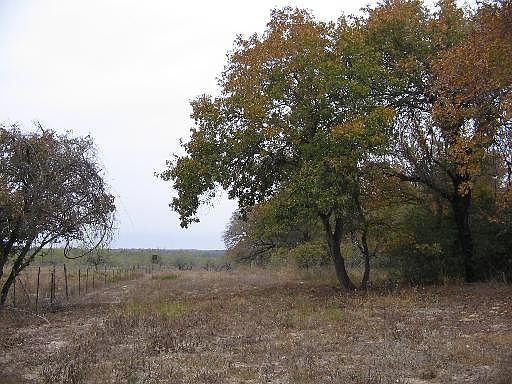 2nd image of 10050 FM Rd 466