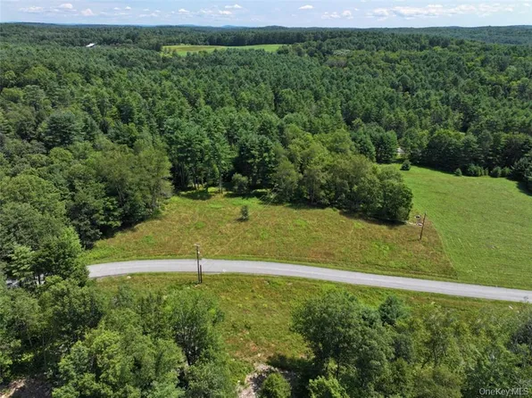 5 Pine Meadows Farm, Old County Road, Cochecton, NY 12726