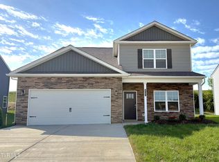 217 Artist Ave, Johnson City, TN 37615