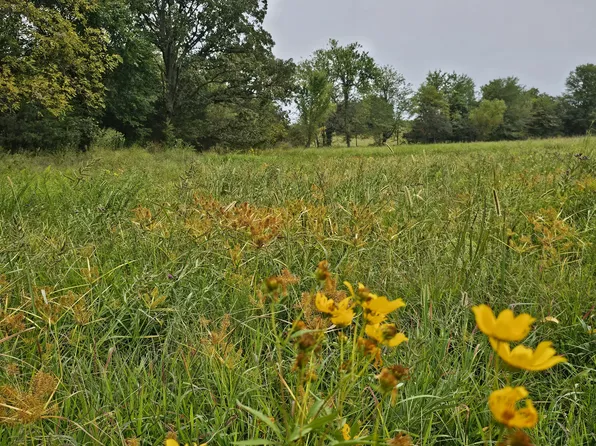 Lot 5 E 420th Road, Bolivar, MO 65613