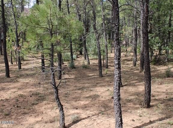 4th image of 5014 Crooked Creek Ct Lot 33