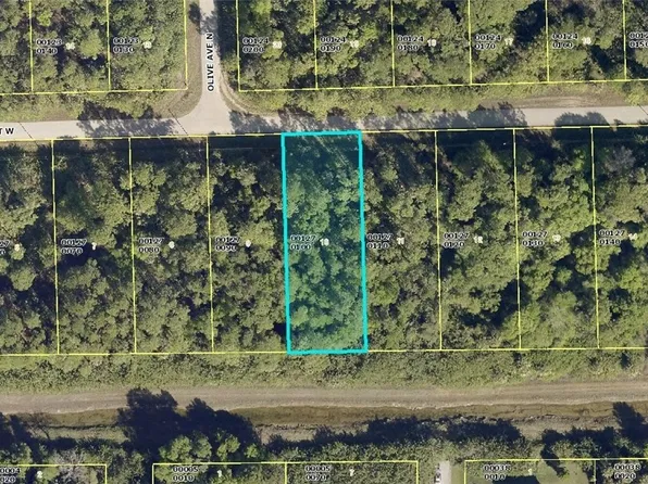 3121 47th St W, Lehigh Acres, FL 33971