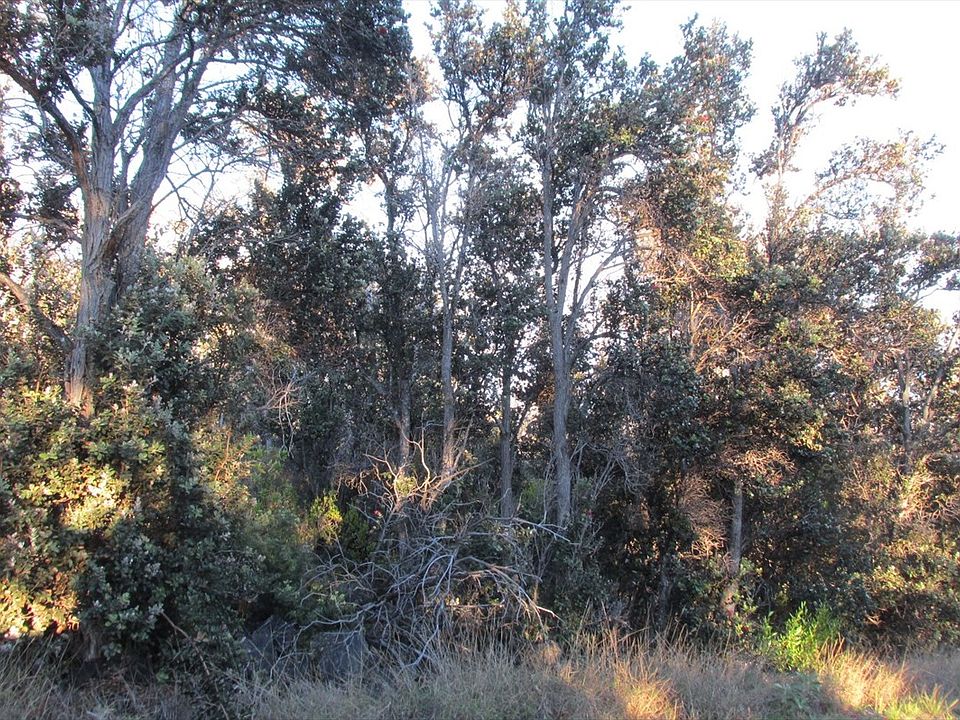 2nd image of Plumeria Ln Lot 22
