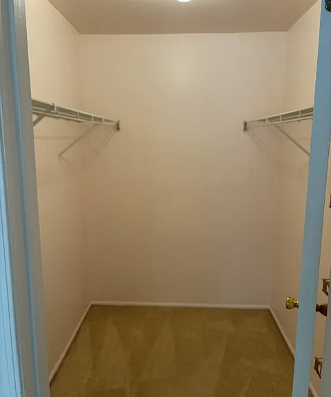 133 Tulip Ln — Photo 15