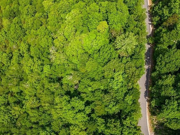5th image of 136 Lakeview Dr Lot 136