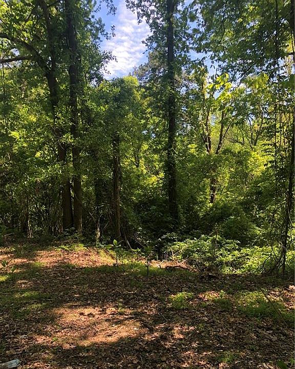 2nd image of 5953 Community Rd SE Lot 0