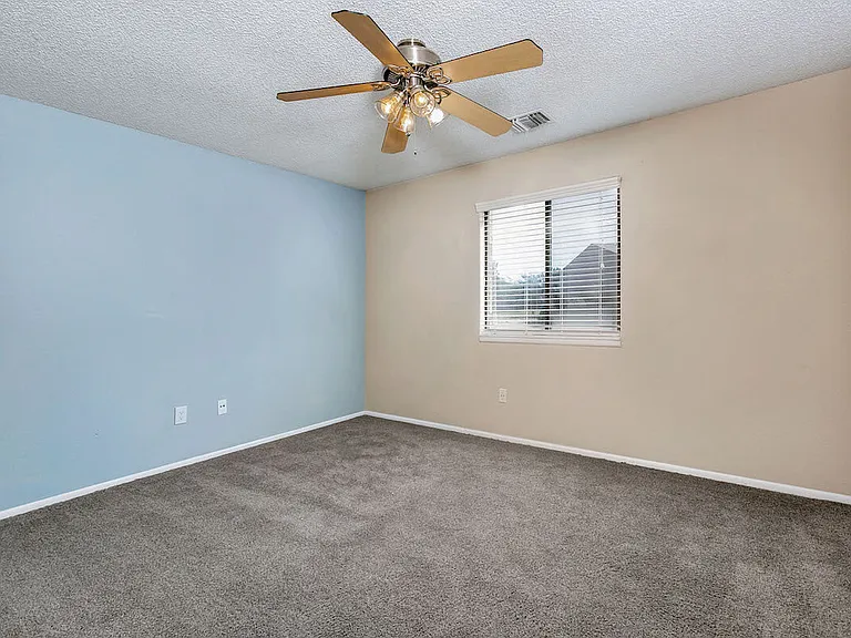 Filled with Natural Light