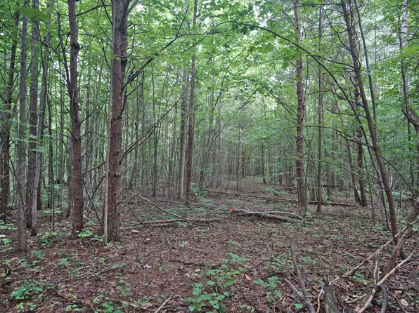 0 Mudlee Dr #4, Hurdle Mills, NC 27541