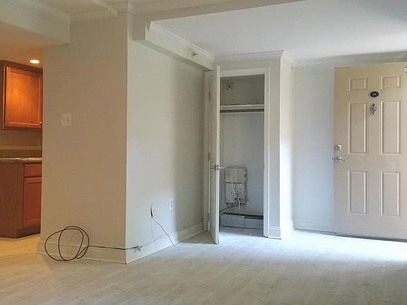 Entrance and closet