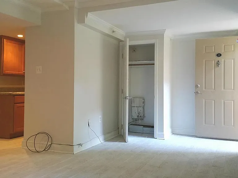 Entrance and closet