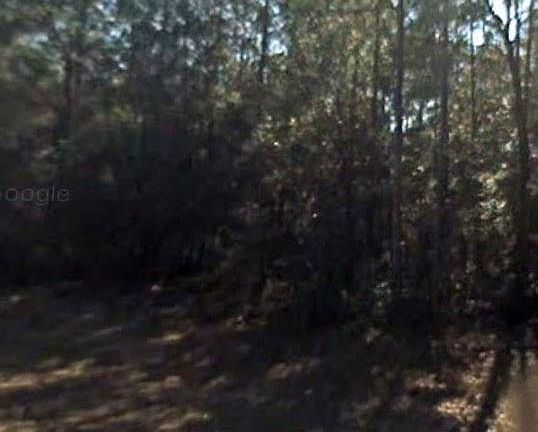 2nd image of 9248 N Patch Dr