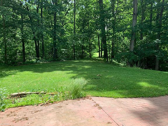 Backyard (3)