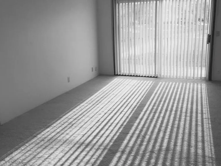 Natural lighting coming into a living room at Whispering Isle.