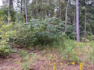 0 Lee Dr, Spring Hope, NC 27882