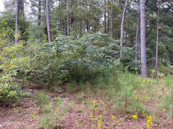 000 Lee Drive, Spring Hope, NC 27882