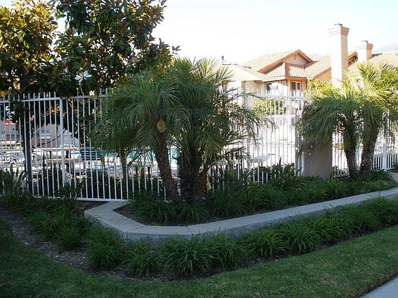 Pool, jacuzzi & barbecue area