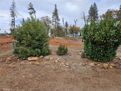 1024 Maple Park Dr #14, Paradise, CA, 95969