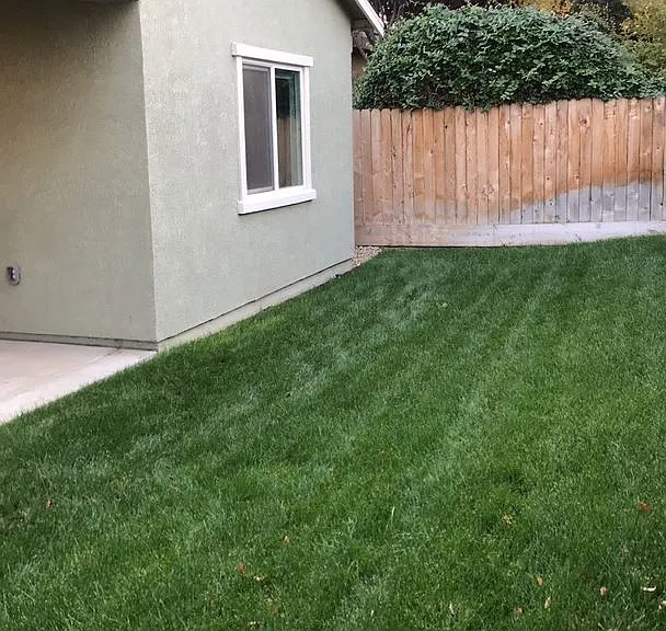 407 Jacobs Dr — Photo 16