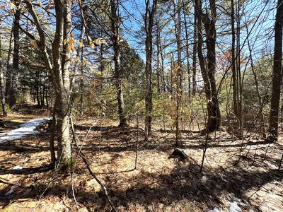 Lot 5 Lords Hill Road, Brownfield, ME, 04010
