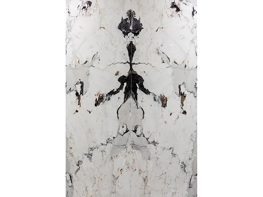 Sold by Douglas Elliman | media 14