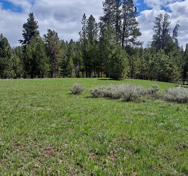 2nd image of 16 E Prospectors Dr
