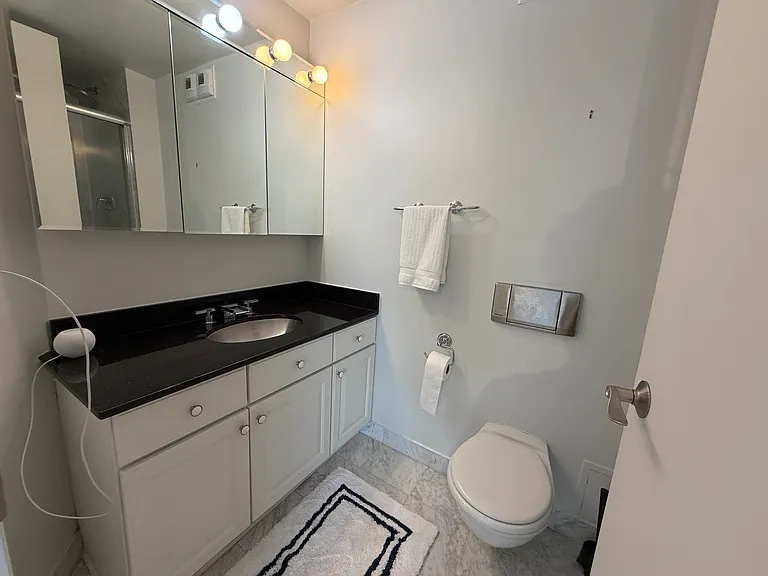 405 N Wabash Ave #4704 — Photo 41