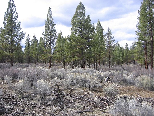 1st image of Klamath Forest Dr Lot 1