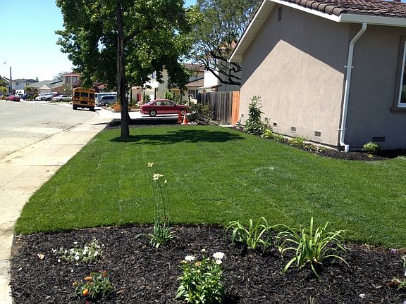 Front Side (Lawn Dried)