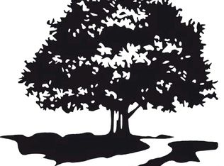 11368 Oak Run Dr, Geismar, LA 70734