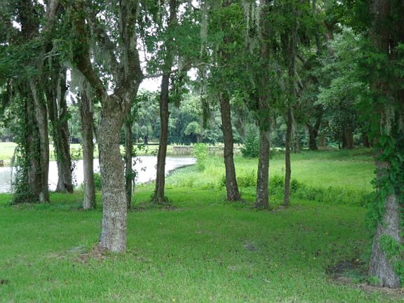 Lot 213 on pond on #1 Fairwa