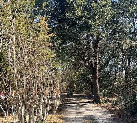 4th image of 5628 Bay Ln