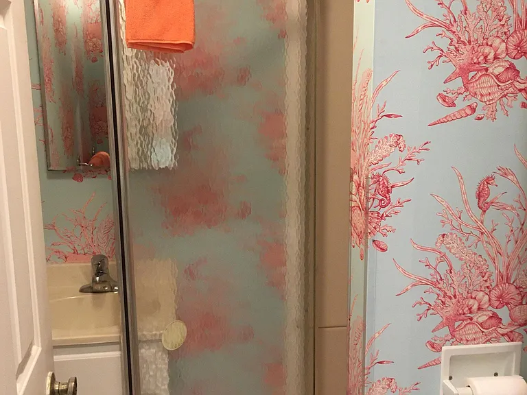 Lower Bathroom has walk in Shower/ no tub