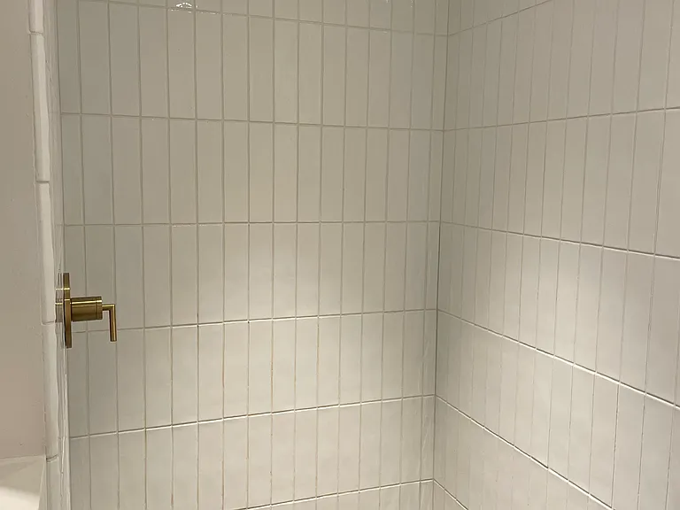 Walk-in shower in master bath