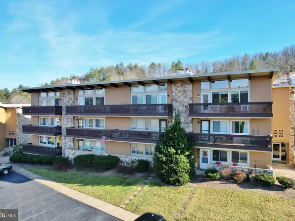 1814 Fairway Dr #338, Basye, VA 22810
