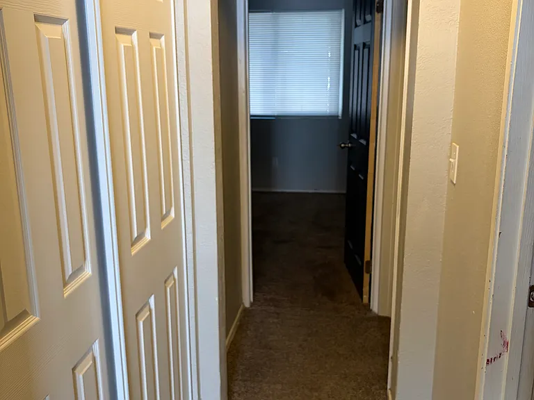 341 Elizabeth St #F — Photo 16