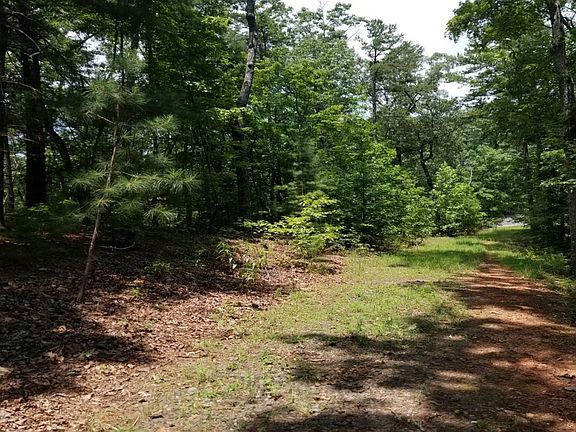 3rd image of 351 Cove Lake Dr
