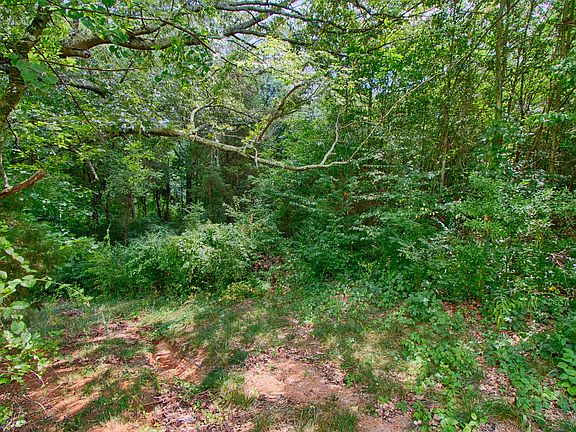 5th image of 533 Lone Willow Dr Lot 70