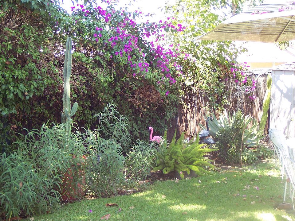 Big yard great for children
