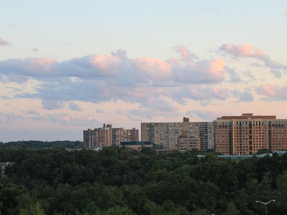 4th image of 3705 S George Mason Dr APT 1106