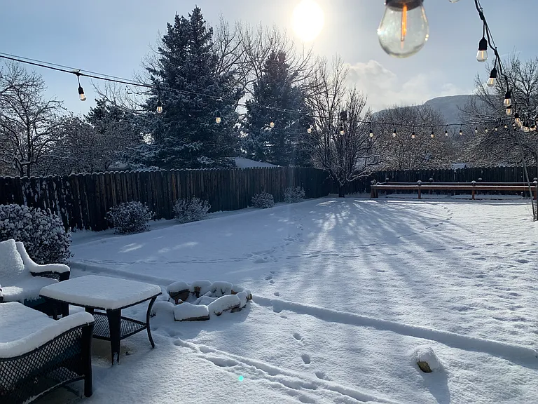 Backyard