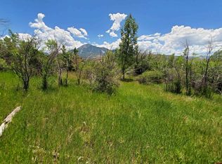 40597 O Rd, Paonia, CO 81428