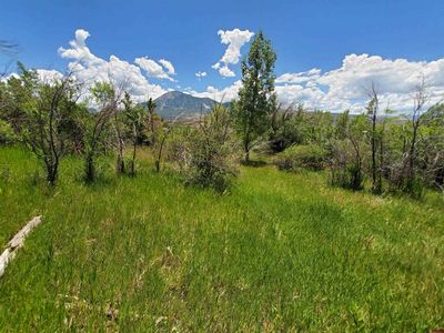 40597 O Rd, Paonia, CO, 81428