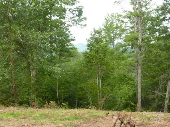 240 Thunderhead Dr, Marshall, NC 28753