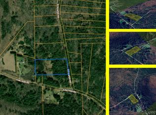 111 Schlafer Rd #5, Bainbridge, NY 13733