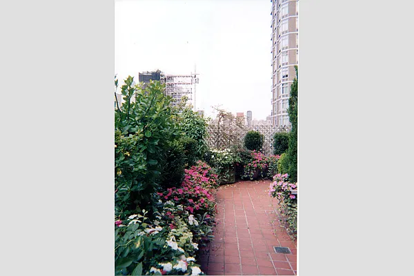 Sold by Stribling | media 13