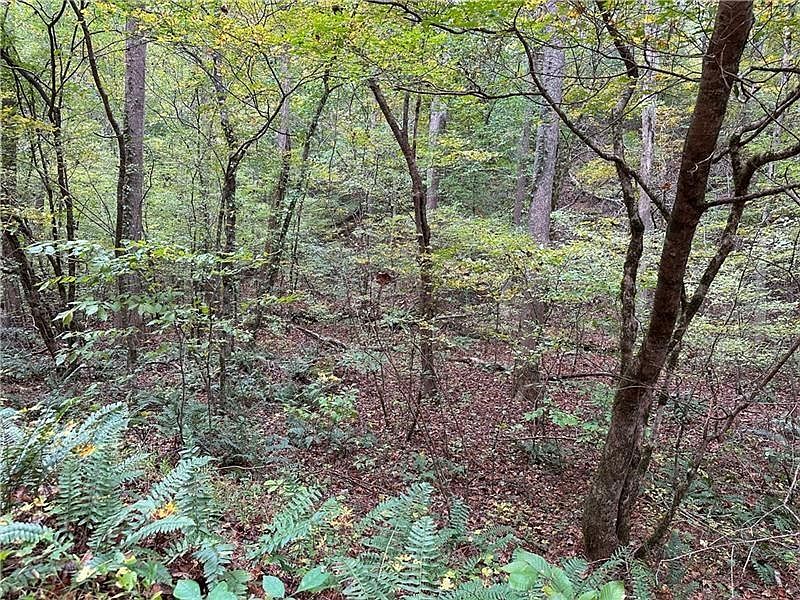 1st image of 854 Albus Ct NE