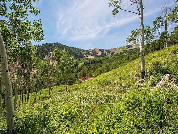 2nd image of 78 White Pine Canyon Rd #71