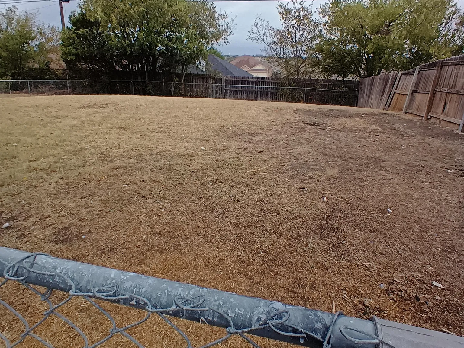 2 bed, 1.5 bath, 984 sqft, $1,450 — Photo 3