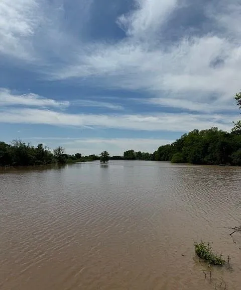 6319 FM 1489 Rd — Photo 5
