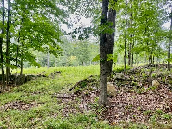 8AC Mudgett Road, Parsonsfield, ME 04047